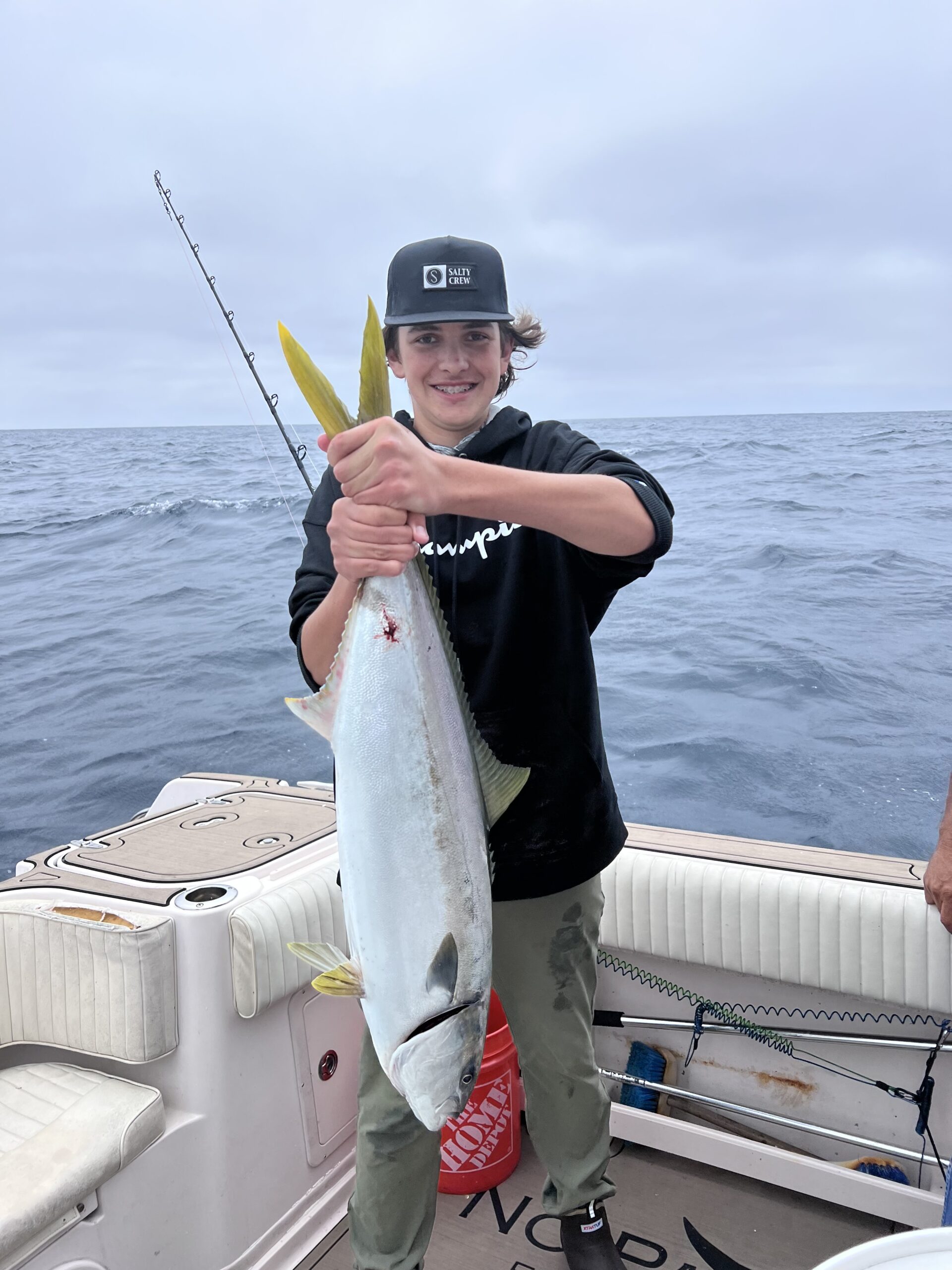 yellow tail catch