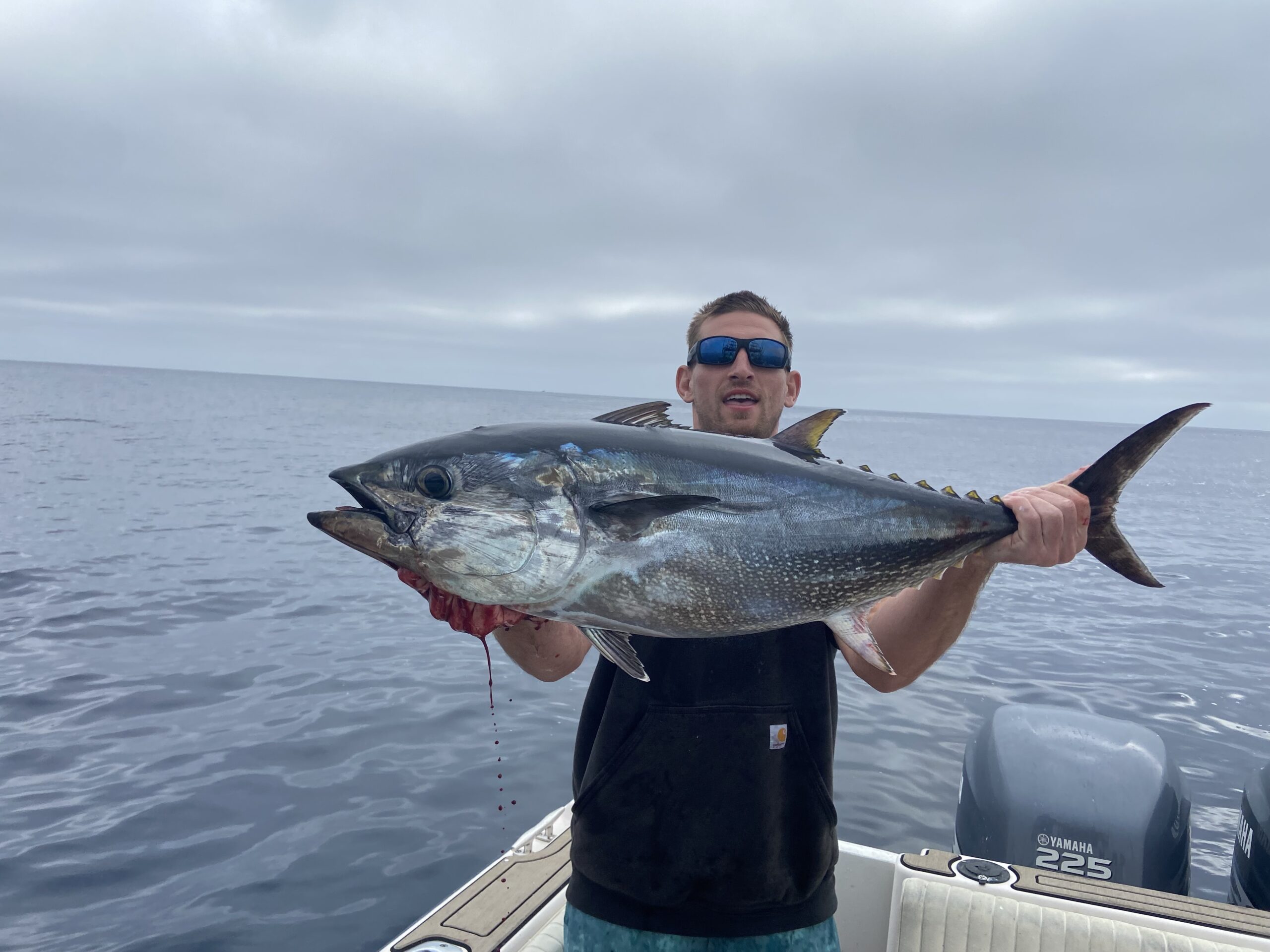 offshore tuna catch