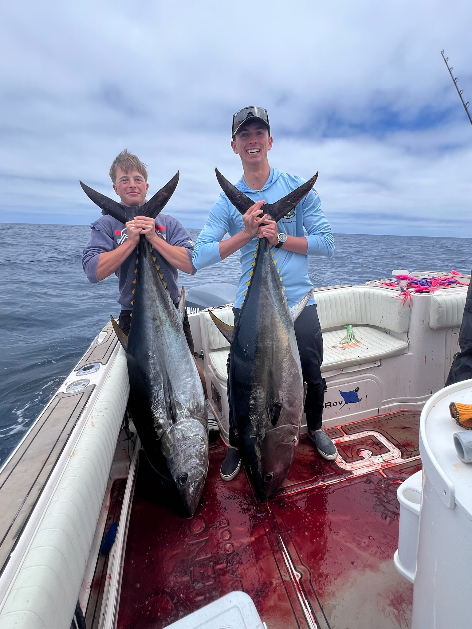 tuna tuna