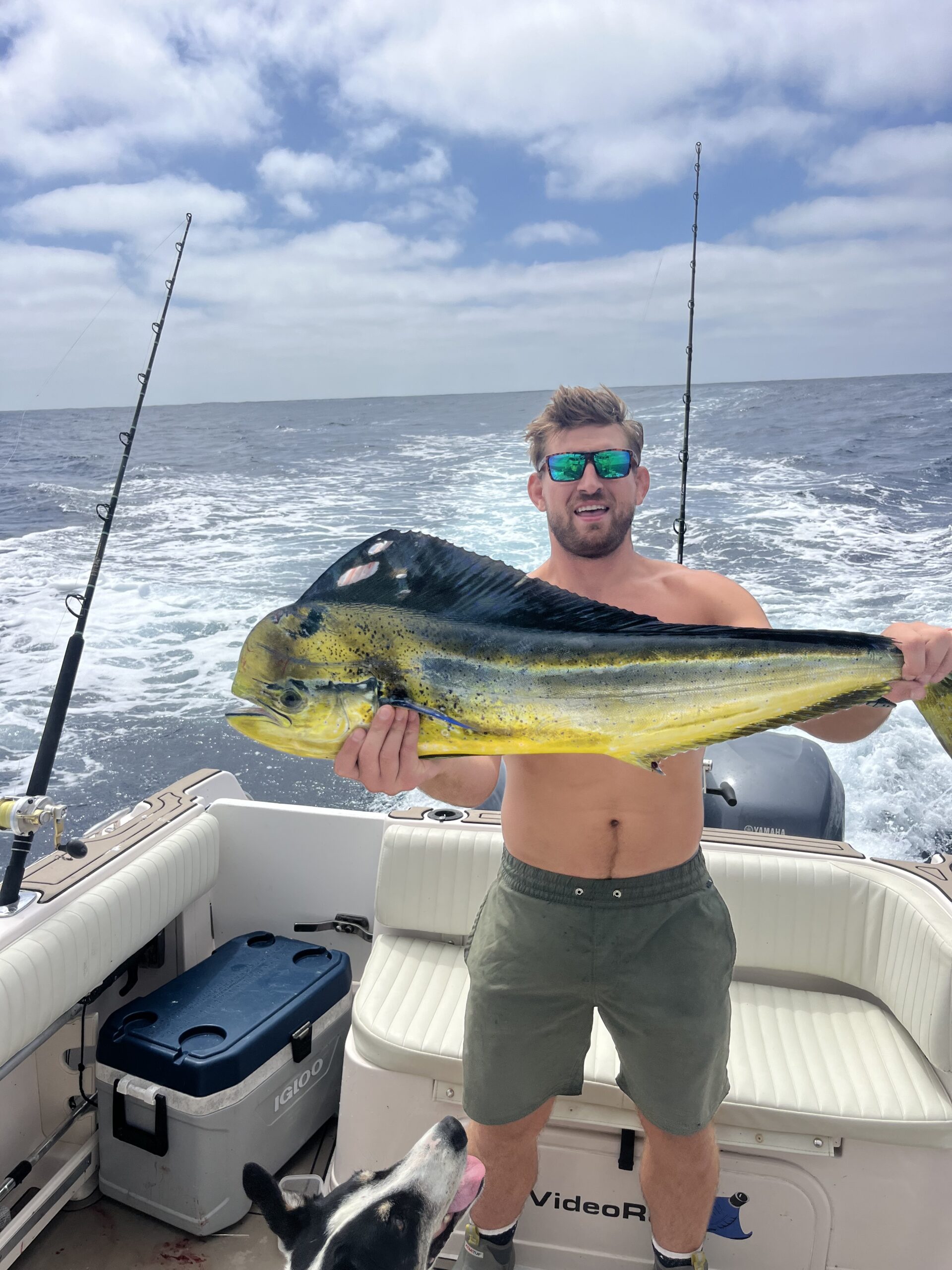 mahi mahi offshore mahi mahi offshore